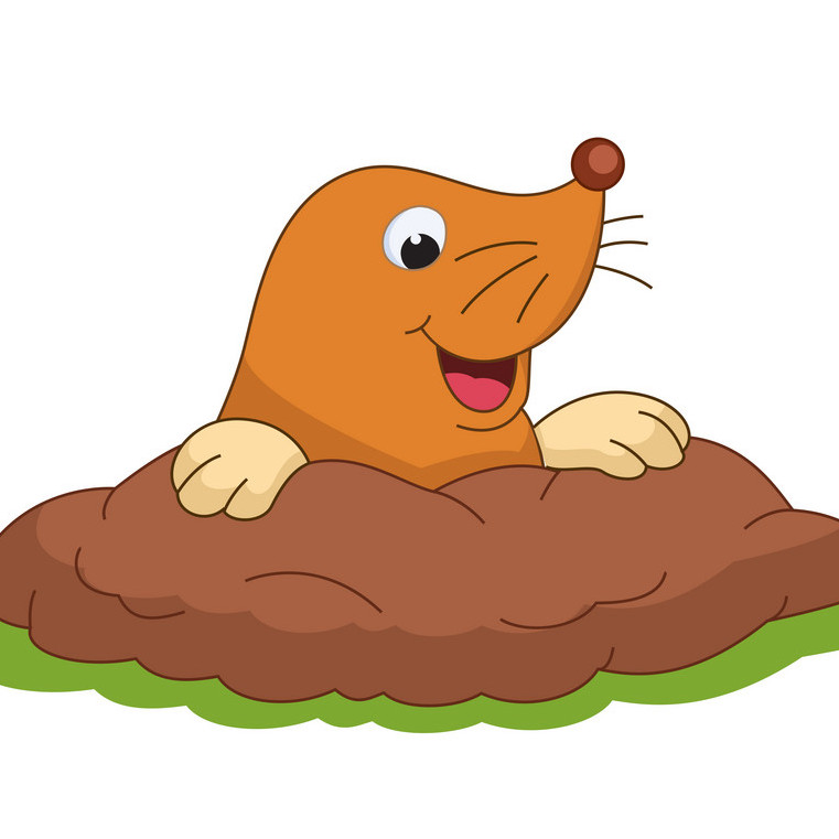 picture of a mole