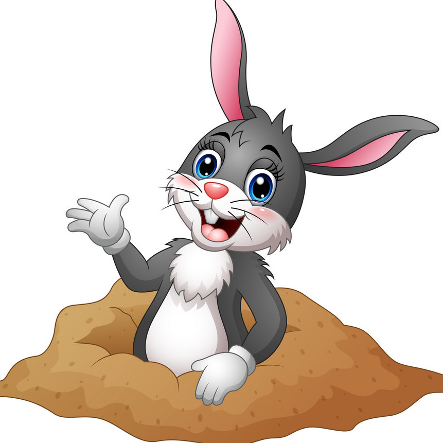 picture of rabbit